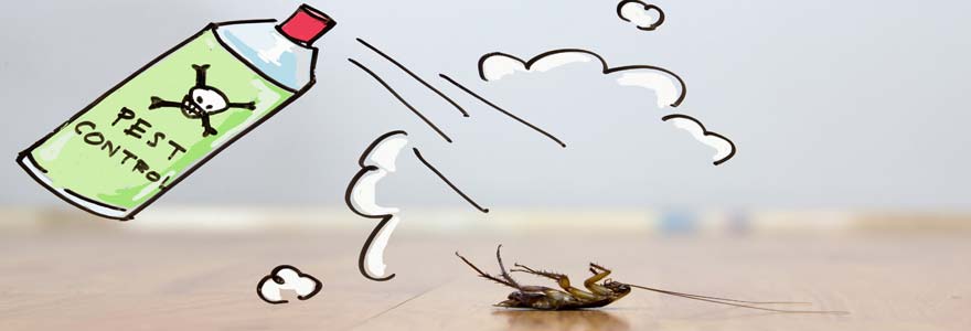 Élimination des insectes